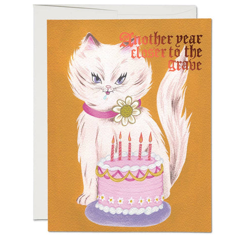 Red Cap Card Kitty and Cake