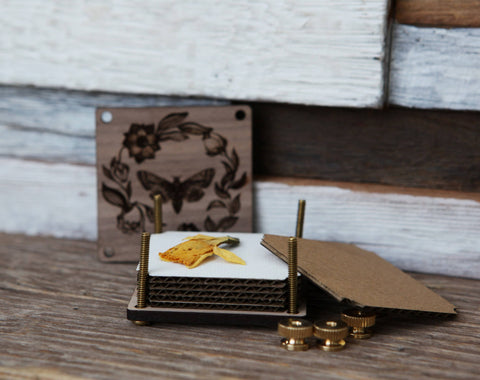 Sunrise Grove Flower Press Kit Moth