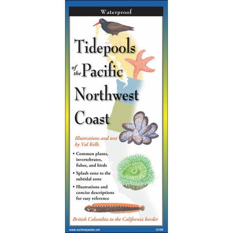ES+W Tidepools of the Pacific Northwest