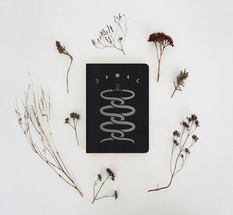 Galek Sea Snakes Notebooks