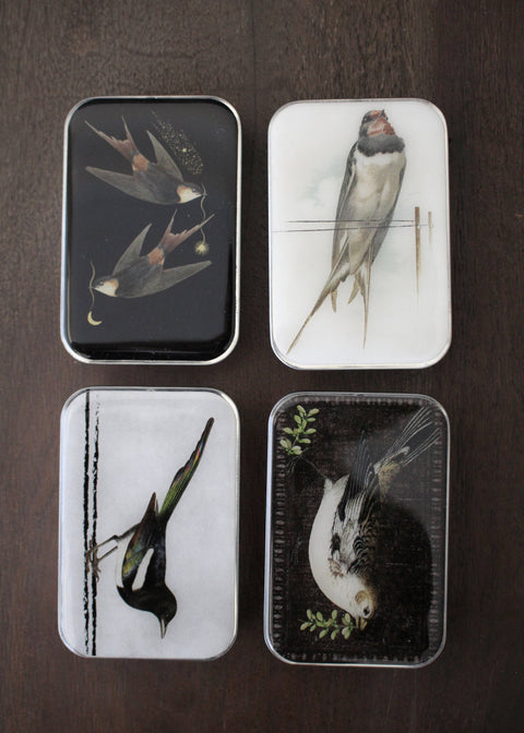 NNK Birds Of A Feather Notion Tin