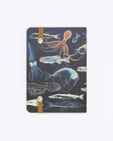 Cognitive Surplus Notebook Mysteries of The Deep