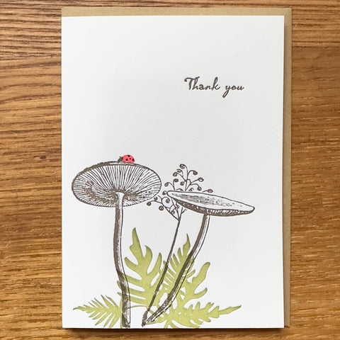 Forest Ladybug Lark Press Thank You BOXED Set