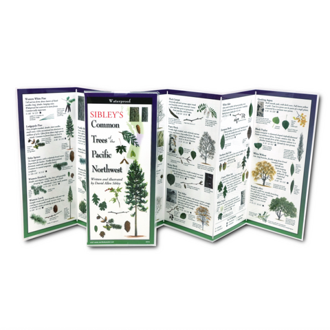 ES+W Sibley's Trees of Pacific Northwest