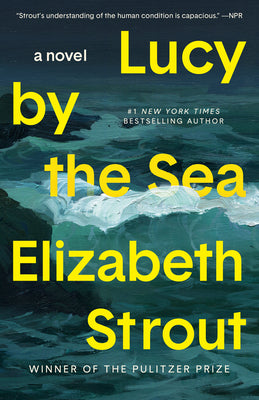 Lucy by the Sea (Paperback)