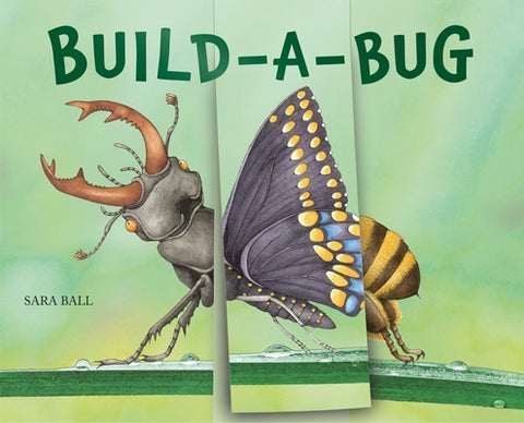 Build-a-Bug Board book