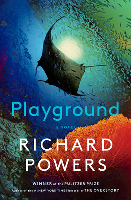 Playground (Hardcover)