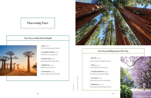 Lonely Planet Tree Atlas