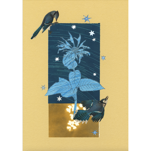 The Comfort of Crows (Reese's Book Club Pick): A Backyard Year