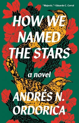 How We Named the Stars (Paperback)