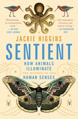 Sentient: How Animals Illuminate the Wonder of Our Human Senses Paperback