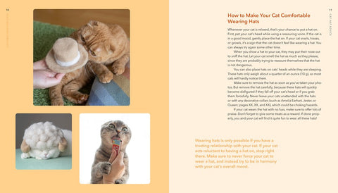 Cat-Hair Hats for Cats: Craft Fetching Headwear for Your Feline Friends