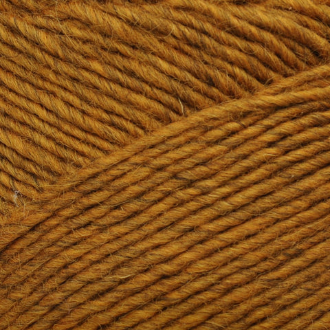 Brown Sheep Lambs Pride Bulky