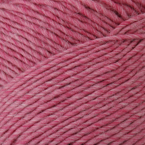 Brown Sheep Lambs Pride Bulky