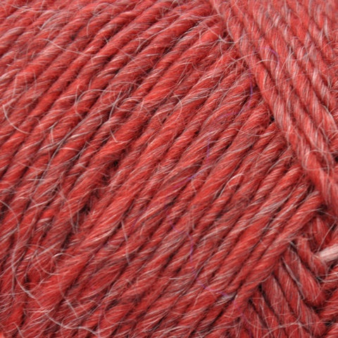 Brown Sheep Lambs Pride Bulky