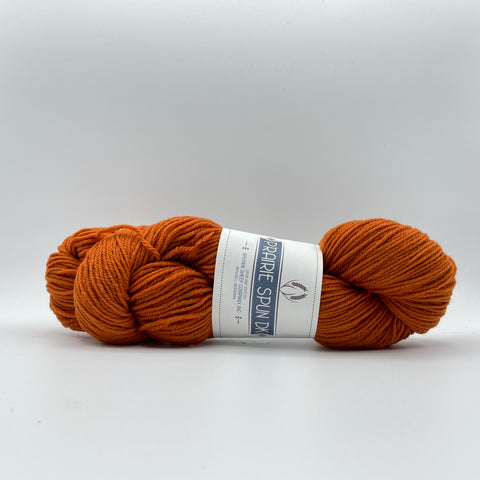 Brown Sheep Prairie Spun DK