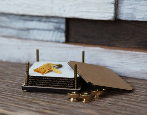 Sunrise Grove Flower Press Kit Moth