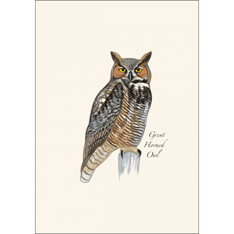 ES+W Card Set Sibley Owl Assortment