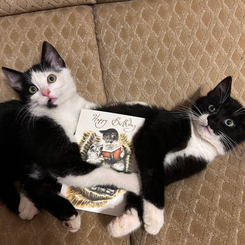 RLB Birthday Card Sleeping Kittens
