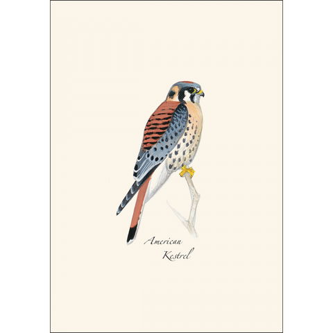 ES+W Card Set Sibley Raptor