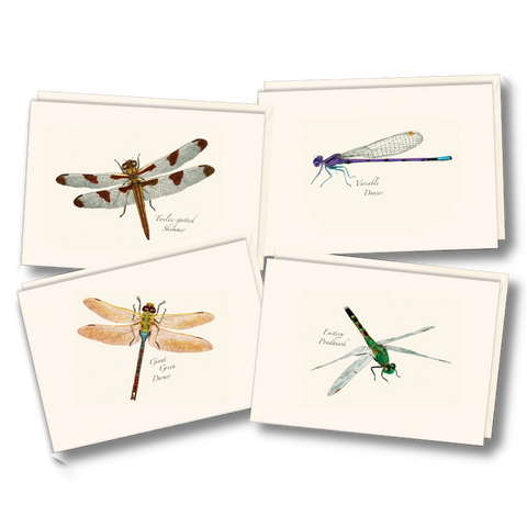 ES+W Notecard Set Dragonfly & Damselfly