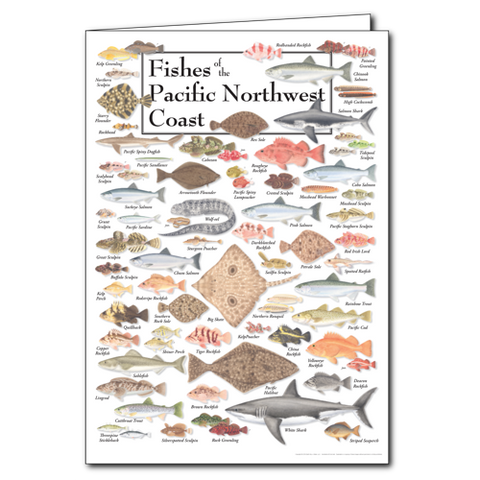 ES+W Card Fishes of the Pacific Northwest Coast