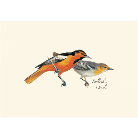 ES+W Card Set Peterson Western Bird
