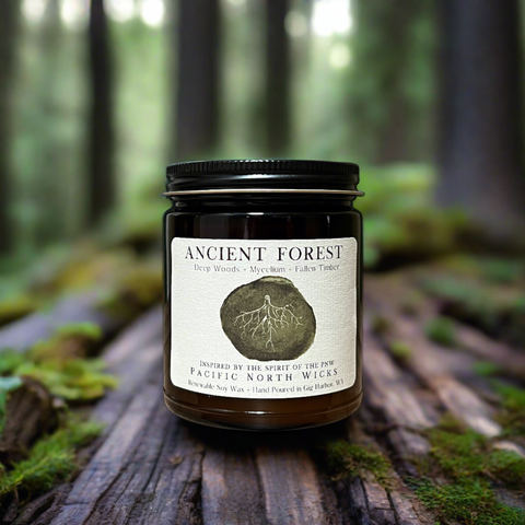 Pacific North Wicks Ancient Forest Candle