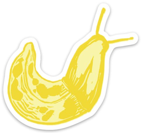 Pier Six Press Sticker Banana Slug