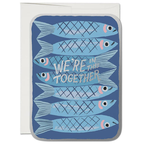 Red Cap Card Sardines