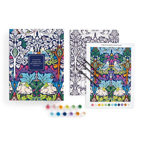 Paint by Numbers: Brother Rabbit