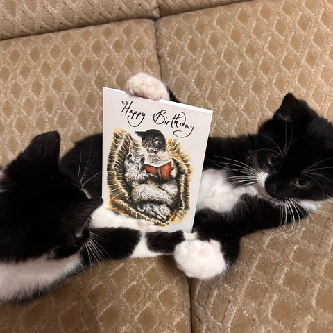 RLB Birthday Card Sleeping Kittens