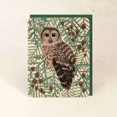 Little Gold Fox Designs Greeting Card Barred Owl