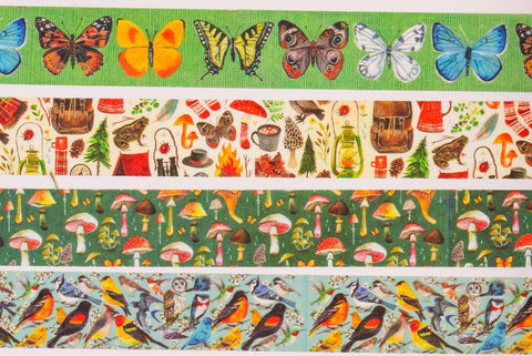Katie Daisy Washi Tape Roll Set Outdoorsy