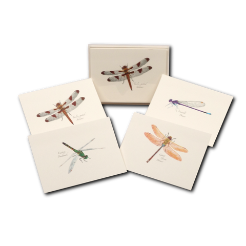 ES+W Notecard Set Dragonfly & Damselfly