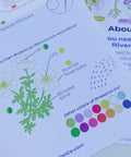 Keller Design Embroidery Kit Hello From Rose City