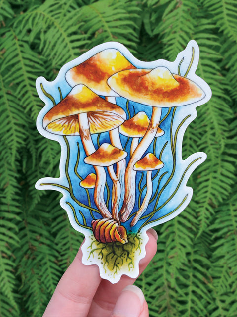 Crafted From Scratch Pacific Psilocybe Sticker