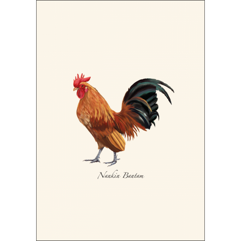ES+W Card Set Chicken Assortment