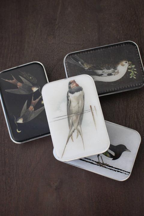 NNK Birds Of A Feather Notion Tin