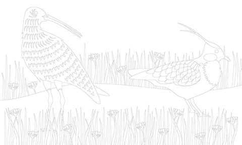 The Mindful Year Coloring Book