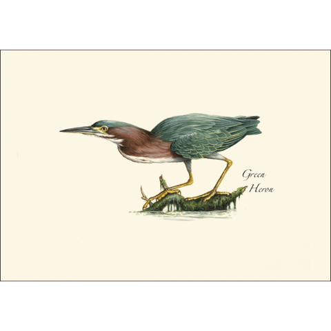 ES+W Card Heron Assortment