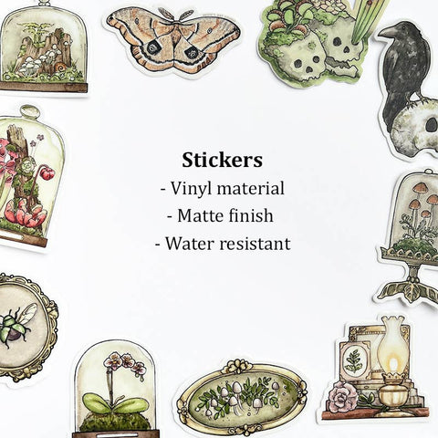 Motif's Art Studio Sticker Mushroom Terrarium