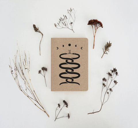 The Galek Sea Notebooks Snakes