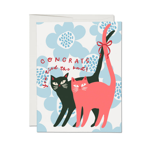 Red Cap Cards Tied Knot Cats