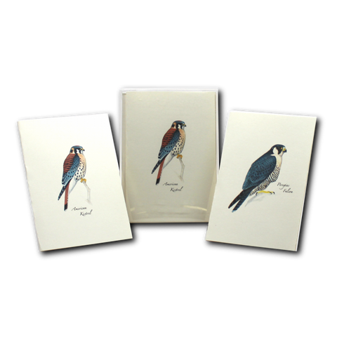 ES+W Card Set Sibley Raptor