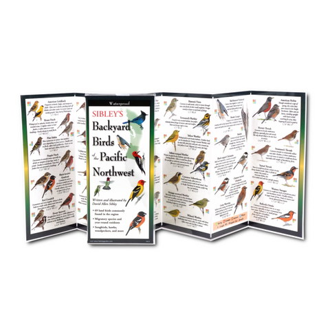 ES+W Sibley's Backyard Birds of Pacific Northwest
