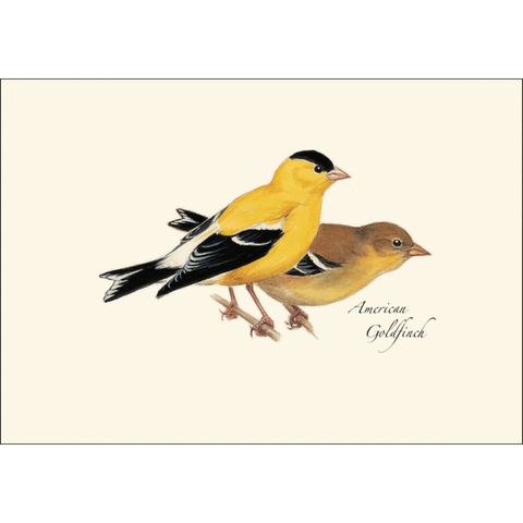 ES+W Card Set Peterson Western Bird