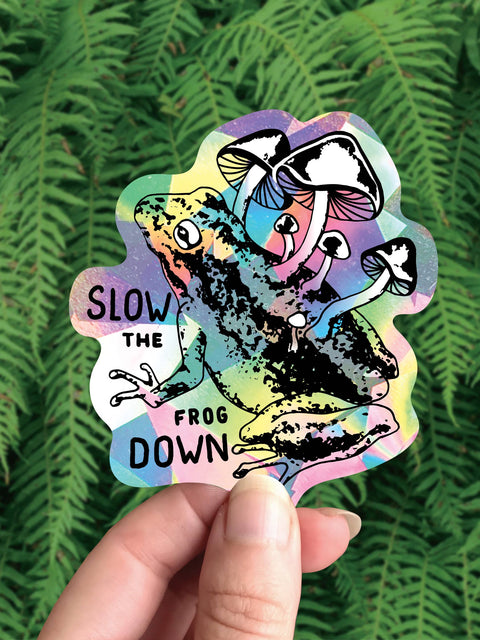 Crafted from Scratch Slow the Frog Down Rainbow Maker Suncatcher Toad Mushroom