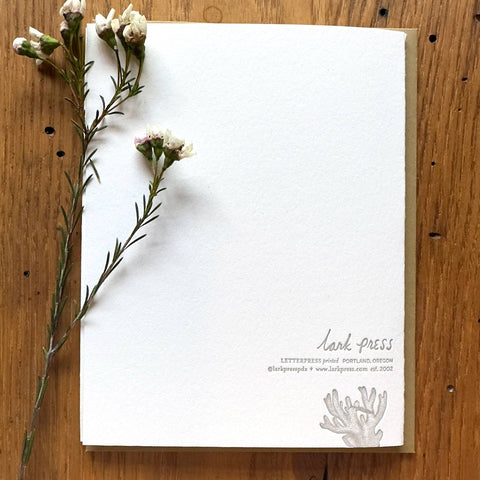 Have a Whaley Great Birthday Lark Press Card