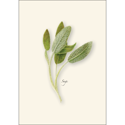 ES+W Card Set Herb Assortment